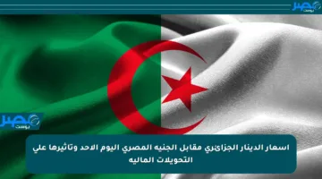 أسعار الدينار الجزائري مقابل الجنيه المصري اليوم الأحد وتأثيرها على التحويلات المالية